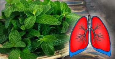 Ces 10 plantes nettoient vos poumons et préviennent la bronchite, l’asthme et le rhume