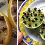 Enfin 10 Astuce Pour Éloigner les Moustiques Naturellement