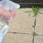Le Désherbant Maison Prêt en 2 Min Que les Mauvaises Herbes DÉTESTENT !