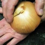 l’oignon est un médicament naturel 8 manières surprenantes de l’utiliser