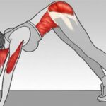 Exercice du ver : transforme le ventre, les bras et les jambes en un temps record