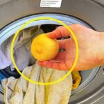 L’astuce de génie pour parfumer les serviettes sorties de la machine à laver et éviter qu’elles ne sentent mauvais