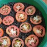 Voici comment cultiver des tomates à la maison (étape par étape)