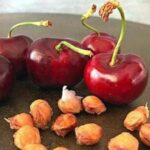 Ne jetez plus les noyaux de cerises ! Cette façon de les utiliser vous permet de faire beaucoup d’économie