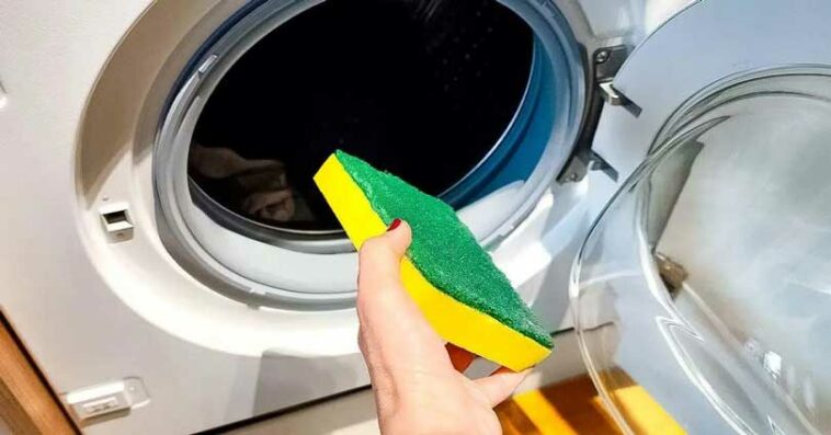 L’astuce de l’éponge : une méthode méconnue pour conserver la machine à laver comme neuve